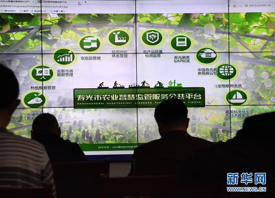 (壯麗70年·奮斗新時代·圖文互動)(4)山東壽光:一棵“菜”興一座城