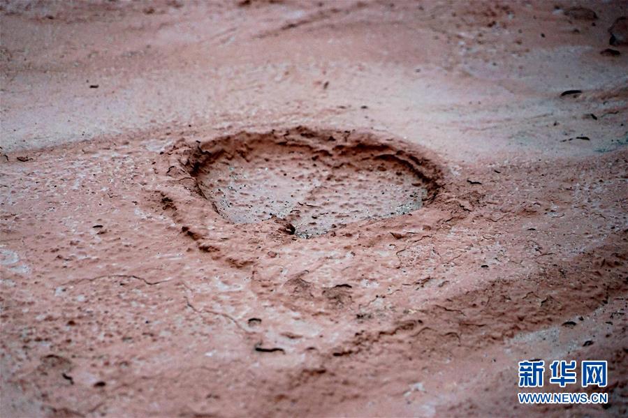 （新華全媒頭條&middot;圖文互動）（8）&ldquo;若問古今興廢事，請君只看洛陽城&rdquo;&mdash;&mdash;千年古都&ldquo;烹制&rdquo;博物館盛宴