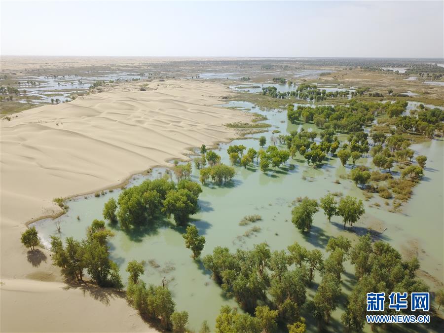 （新華全媒頭條&middot;圖文互動(dòng)）（3）大河歸來(lái)