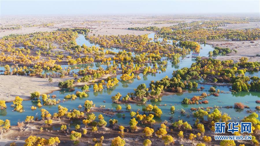 （新華全媒頭條&middot;圖文互動(dòng)）（4）大河歸來(lái)