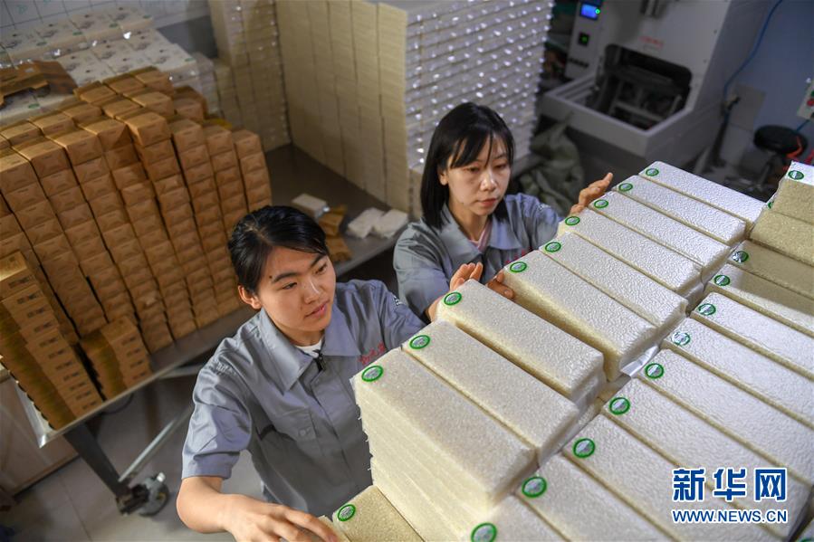 （在習(xí)近平新時(shí)代中國特色社會(huì)主義思想指引下&mdash;&mdash;新時(shí)代新作為新篇章&middot;圖文互動(dòng)）（7）大學(xué)生種田讓農(nóng)民&ldquo;老把式&rdquo;開了眼&mdash;&mdash;吉林長白山下的稻田新事