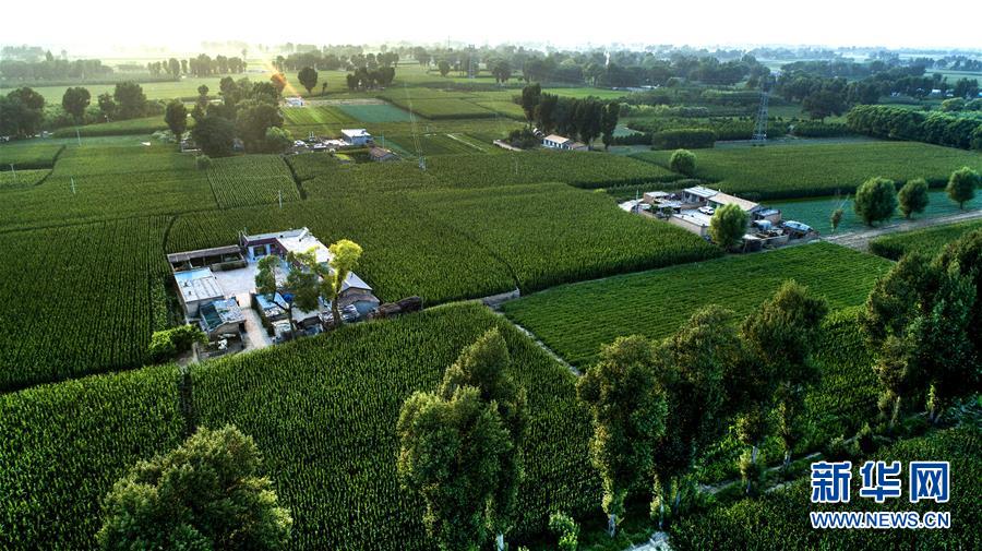 (權(quán)威訪談·聚焦中國(guó)經(jīng)濟(jì)亮點(diǎn)·圖文互動(dòng))(2)防治土地荒漠化 推動(dòng)綠色發(fā)展——專訪國(guó)家林業(yè)和草原局副局長(zhǎng)劉東生