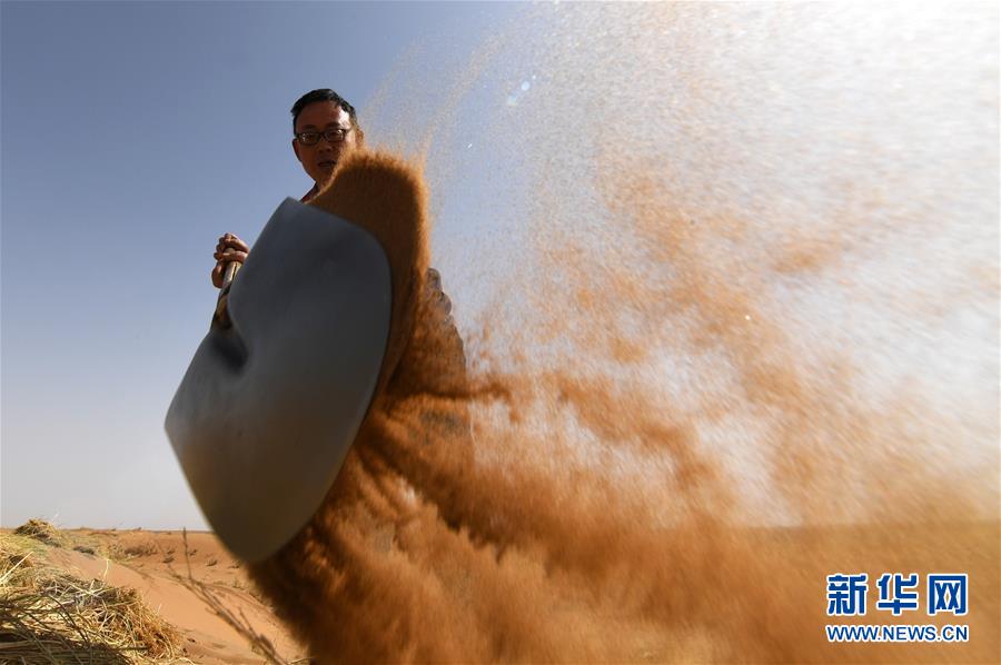 (權(quán)威訪談·聚焦中國(guó)經(jīng)濟(jì)亮點(diǎn)·圖文互動(dòng))(10)防治土地荒漠化 推動(dòng)綠色發(fā)展——專訪國(guó)家林業(yè)和草原局副局長(zhǎng)劉東生