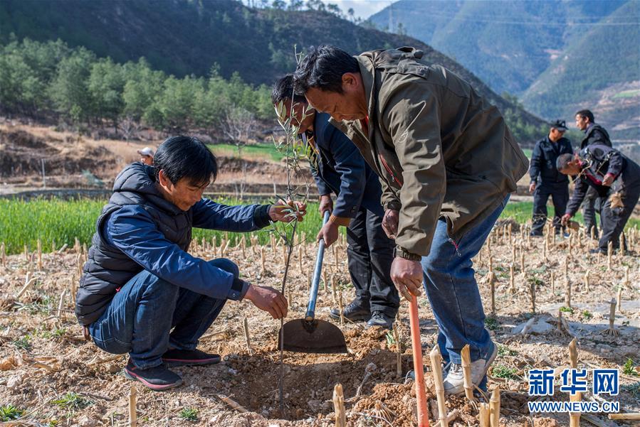 （新華全媒頭條&middot;圖文互動(dòng)）（4）藏區(qū)&ldquo;感恩連&rdquo;