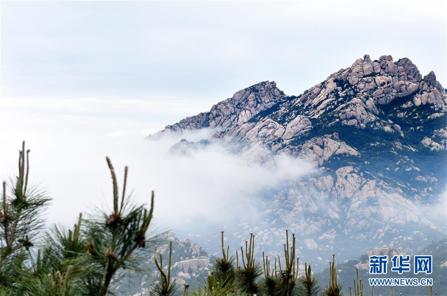 (北京世園會(huì))(8)生態(tài)中國(guó)·海岱齊魯鐘神秀