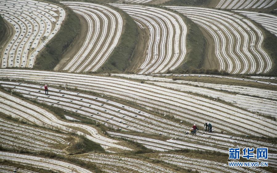 （新華全媒頭條&middot;壯麗70年&middot;奮斗新時(shí)代&middot;圖文互動(dòng)）（7）中國(guó)減貧的西海固報(bào)告