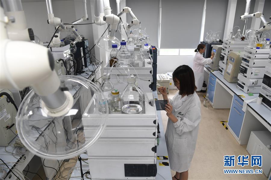 （新華全媒頭條&middot;中國經濟基層行&middot;圖文互動）（6）看！這就是中國經濟的信心&mdash;&mdash;當前中國經濟觀察之一