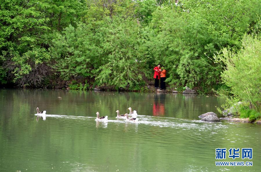 （在習(xí)近平新時(shí)代中國(guó)特色社會(huì)主義思想指引下&mdash;&mdash;新時(shí)代新作為新篇章&middot;圖文互動(dòng)）（4）在這里，遇見(jiàn)&ldquo;詩(shī)和遠(yuǎn)方&rdquo;&mdash;&mdash;長(zhǎng)白山下&ldquo;第一鎮(zhèn)&rdquo;的全域旅游實(shí)踐