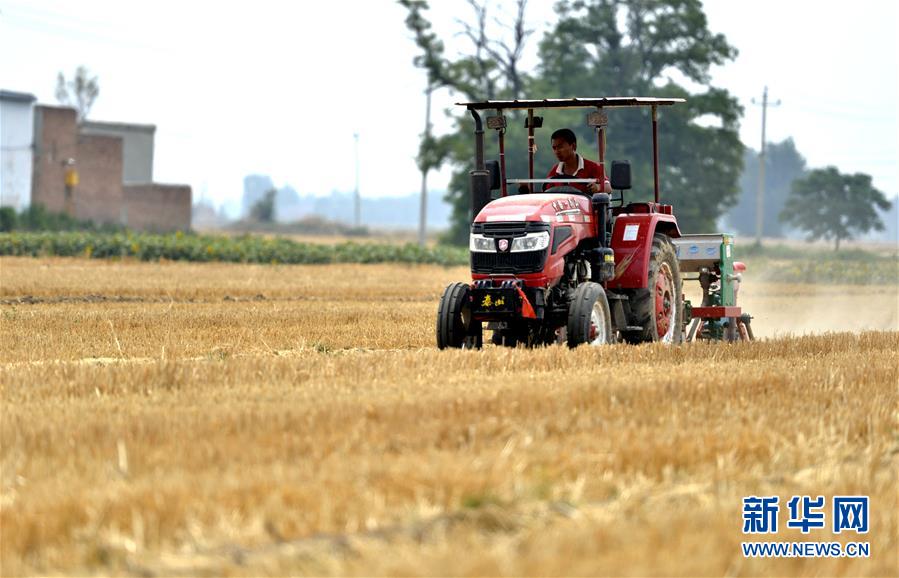 （新華全媒頭條&middot;圖文互動(dòng)）（8）一個(gè)傳統(tǒng)農(nóng)業(yè)縣的脫貧之路&mdash;&mdash;來(lái)自河北新河的調(diào)查報(bào)告
