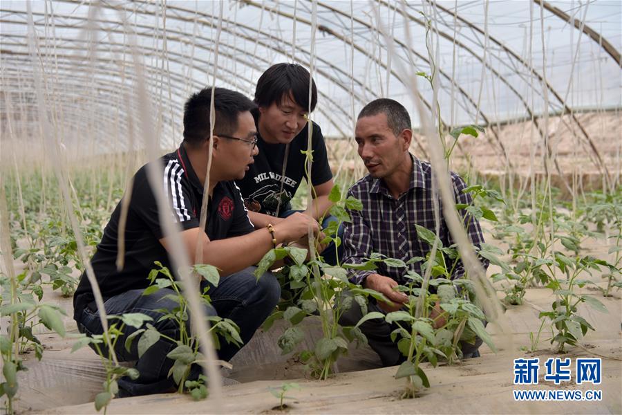 （新華全媒頭條&middot;圖文互動(dòng)）（10）同心援疆，&ldquo;壯闊&rdquo;祖國(guó)西北角
