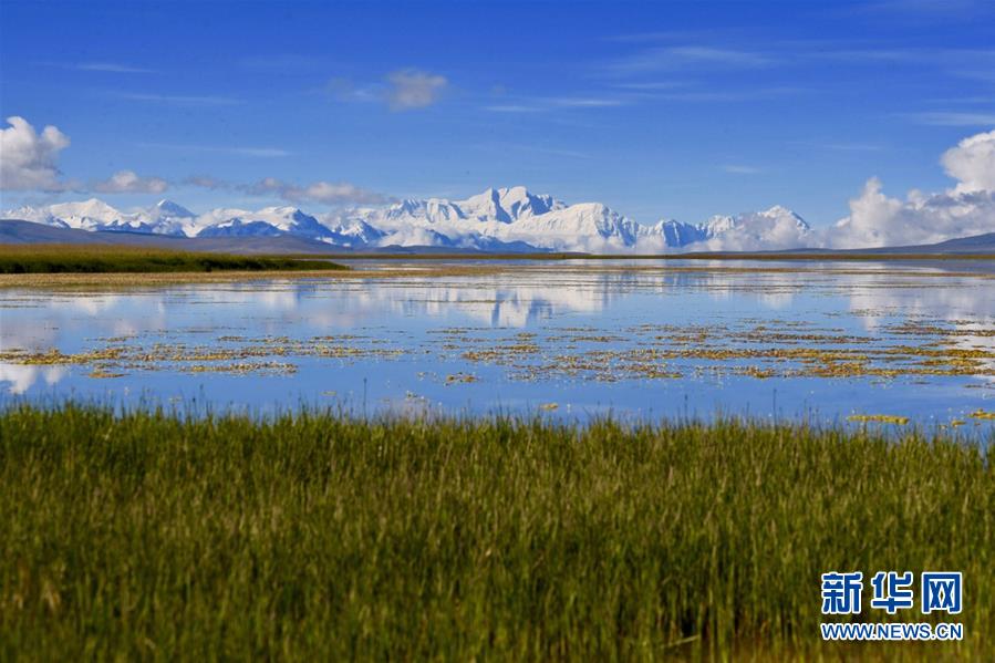 (壯麗70年·奮斗新時(shí)代——共和國發(fā)展成就巡禮·圖文互動)(8)人間奇跡在高原——新中國成立70年西藏發(fā)展成就紀(jì)實(shí)