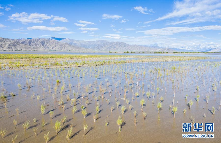 (壯麗70年·奮斗新時(shí)代——共和國發(fā)展成就巡禮·圖文互動)(9)人間奇跡在高原——新中國成立70年西藏發(fā)展成就紀(jì)實(shí)