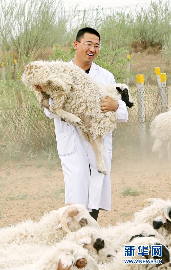 （壯麗70年&middot;奮斗新時代&mdash;&mdash;共和國發(fā)展成就巡禮&middot;圖文互動）（3）生態(tài)美、百姓富&mdash;&mdash;品讀嶄新&ldquo;寧夏畫卷&rdquo;