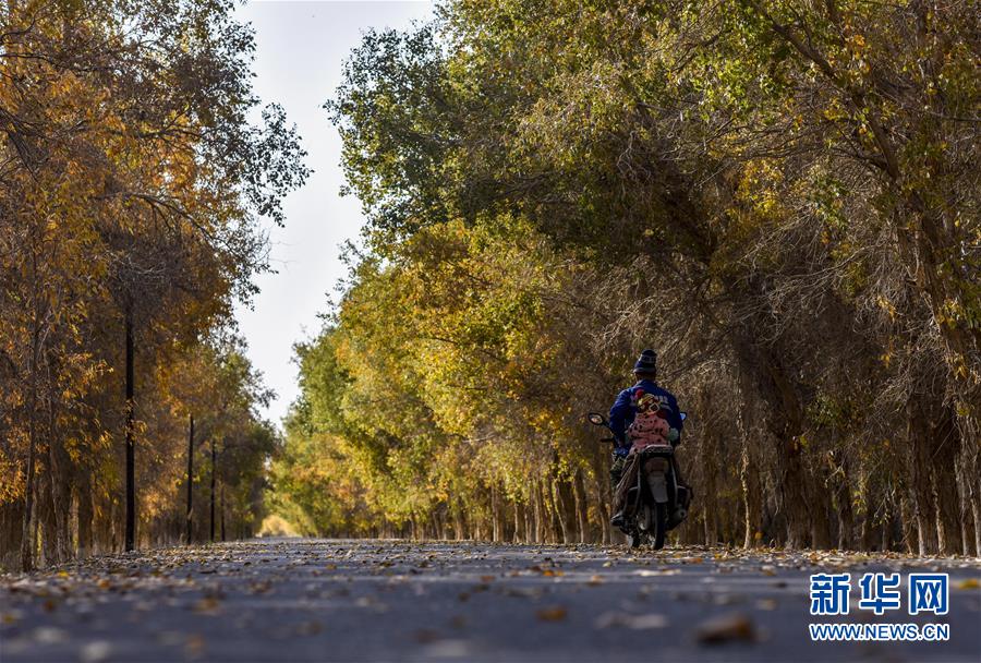 (壯麗70年·奮斗新時(shí)代——共和國發(fā)展成就巡禮·圖文互動(dòng))(2)鑄劍為犁造綠洲 安邊固疆筑“長城”——新疆生產(chǎn)建設(shè)兵團(tuán)維穩(wěn)戍邊改革發(fā)展紀(jì)實(shí)