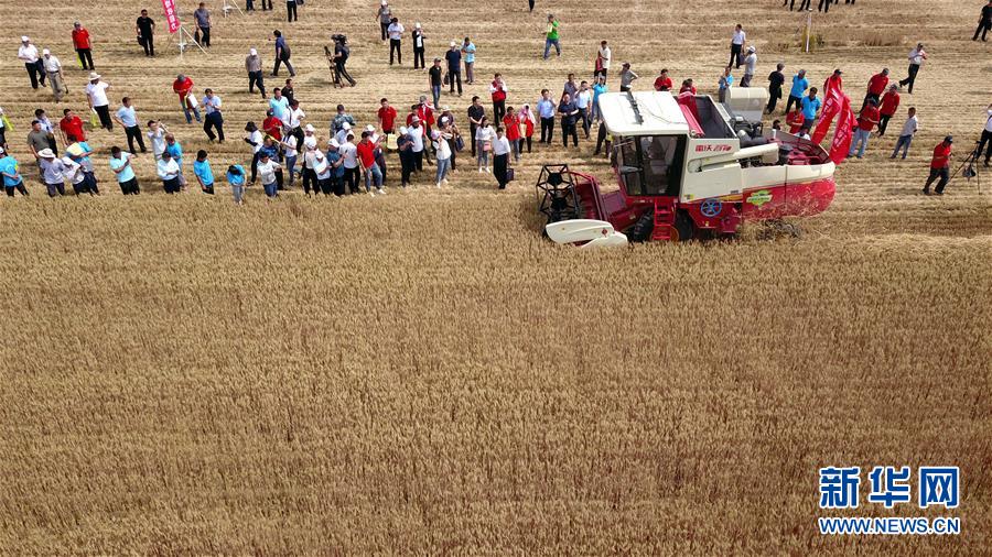 （壯麗70年&middot;奮斗新時(shí)代&mdash;&mdash;共和國(guó)發(fā)展成就巡禮）（3）看今朝齊風(fēng)魯韻　七十載芳華正勁&mdash;&mdash;新中國(guó)成立以來山東領(lǐng)先發(fā)展紀(jì)實(shí)