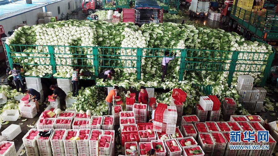 （壯麗70年&middot;奮斗新時(shí)代&mdash;&mdash;共和國(guó)發(fā)展成就巡禮）（5）看今朝齊風(fēng)魯韻　七十載芳華正勁&mdash;&mdash;新中國(guó)成立以來山東領(lǐng)先發(fā)展紀(jì)實(shí)