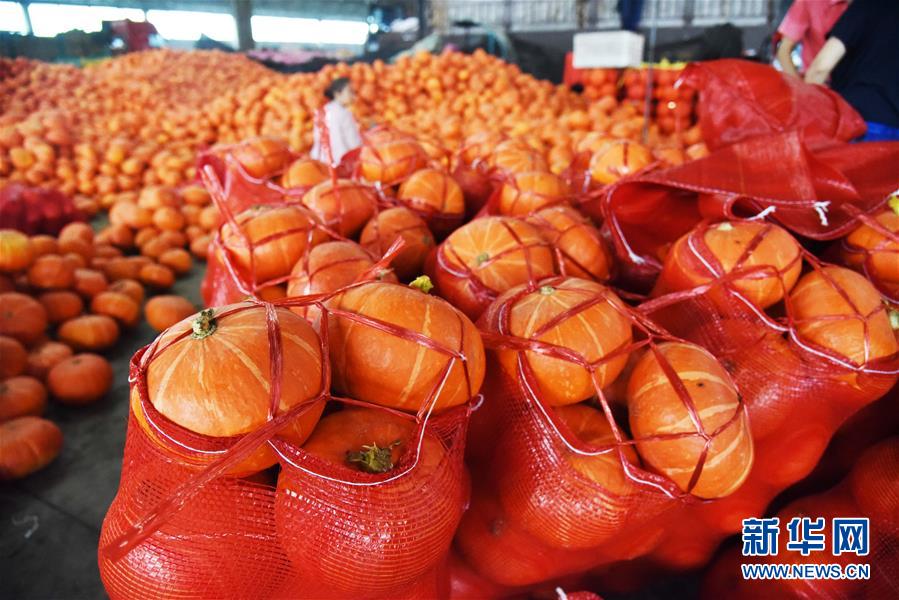 （壯麗70年&middot;奮斗新時(shí)代&mdash;&mdash;共和國(guó)發(fā)展成就巡禮）（6）看今朝齊風(fēng)魯韻　七十載芳華正勁&mdash;&mdash;新中國(guó)成立以來山東領(lǐng)先發(fā)展紀(jì)實(shí)