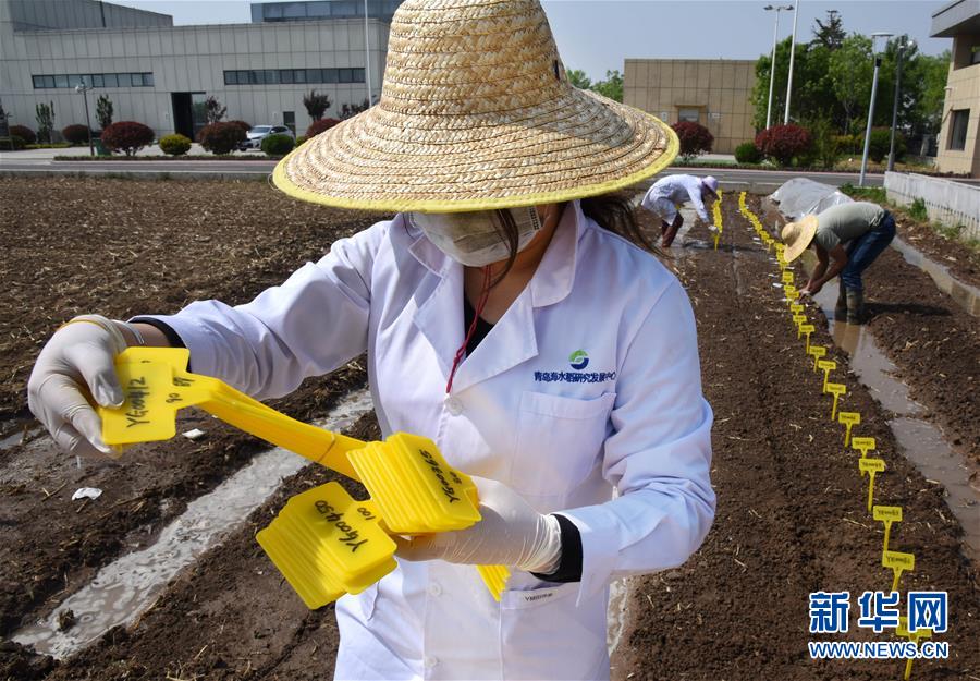 （壯麗70年&middot;奮斗新時(shí)代&mdash;&mdash;共和國(guó)發(fā)展成就巡禮）（10）看今朝齊風(fēng)魯韻　七十載芳華正勁&mdash;&mdash;新中國(guó)成立以來山東領(lǐng)先發(fā)展紀(jì)實(shí)