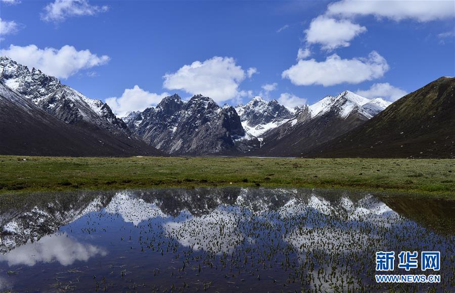 （今日關(guān)注&middot;第一屆國家公園論壇&middot;圖文互動）（6）首個國家公園什么樣？專家?guī)阆?ldquo;睹&rdquo;為快