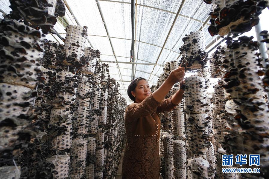 （新華全媒頭條&middot;決戰(zhàn)決勝脫貧攻堅(jiān)&middot;圖文互動(dòng)）（6）以沖刺的狀態(tài)跑出決勝的姿態(tài)&mdash;&mdash;&ldquo;三區(qū)三州&rdquo;甘肅深貧區(qū)脫貧攻堅(jiān)報(bào)告