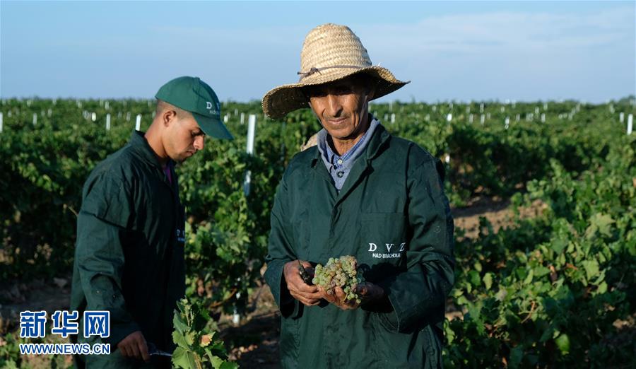 （新華全媒頭條&middot;圖文互動）（9）攜手鑄就非凡夢想&mdash;&mdash;寫在習近平主席提出構(gòu)建更加緊密的中非命運共同體一周年之際