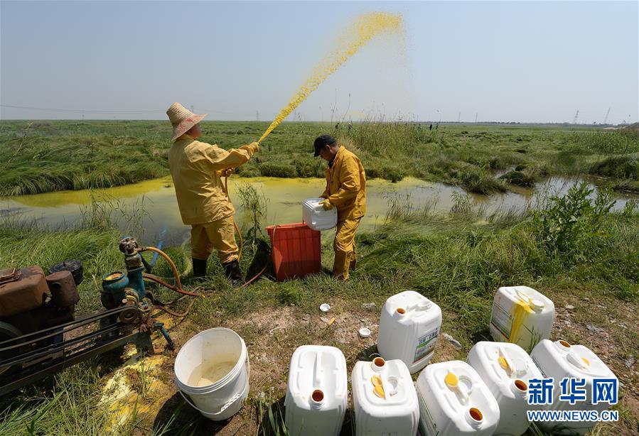 (紅土地“往事新說(shuō)”·圖文互動(dòng))(7)昔日送“瘟神” 今朝健康促小康