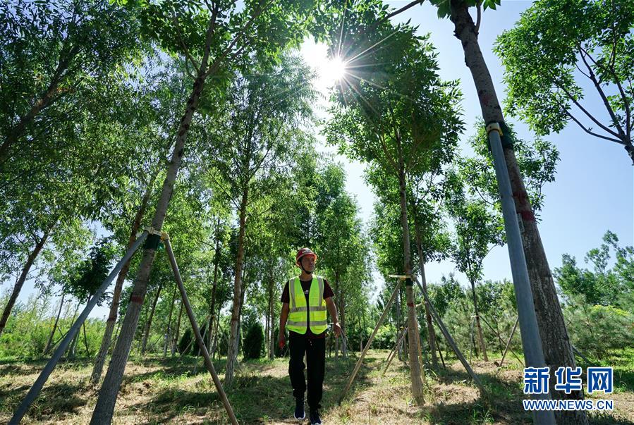 (壯麗70年·奮斗新時(shí)代·重溫囑托看變化·圖文互動(dòng))(1)雄安新區(qū):錨定高質(zhì)量發(fā)展 奮力書(shū)寫新時(shí)代答卷