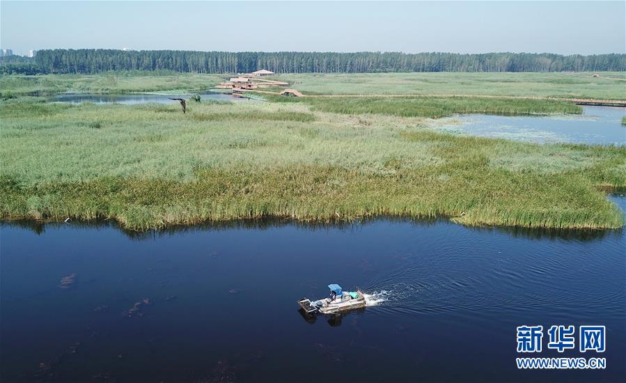 (壯麗70年·奮斗新時(shí)代·重溫囑托看變化·圖文互動(dòng))(4)雄安新區(qū):錨定高質(zhì)量發(fā)展 奮力書(shū)寫新時(shí)代答卷