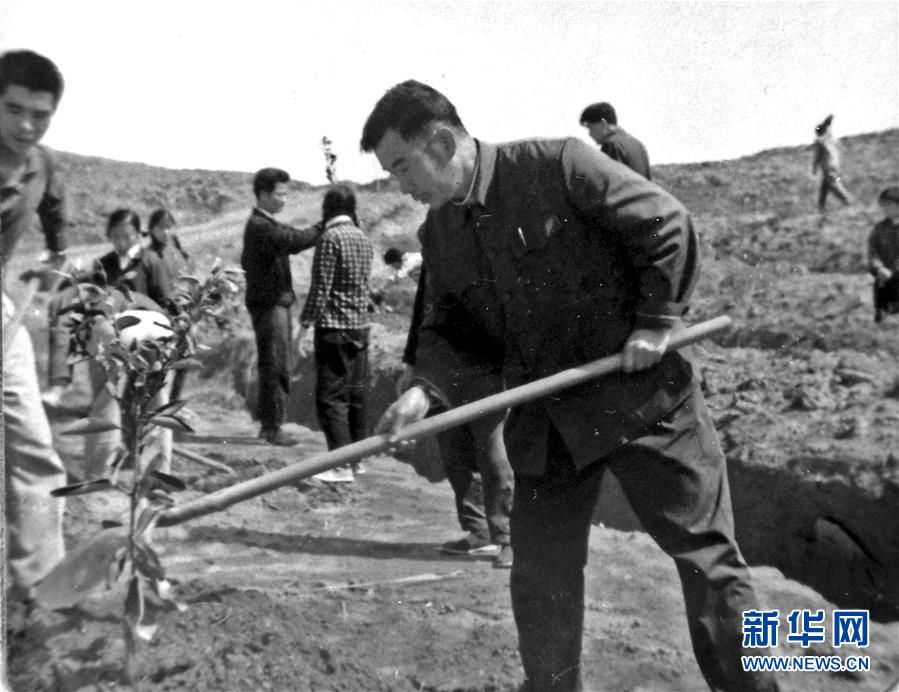 （紅土地&ldquo;往事新說&rdquo;&middot;圖文互動）（1）昔日房前&ldquo;一棵苗&rdquo; 今朝引來橙滿枝