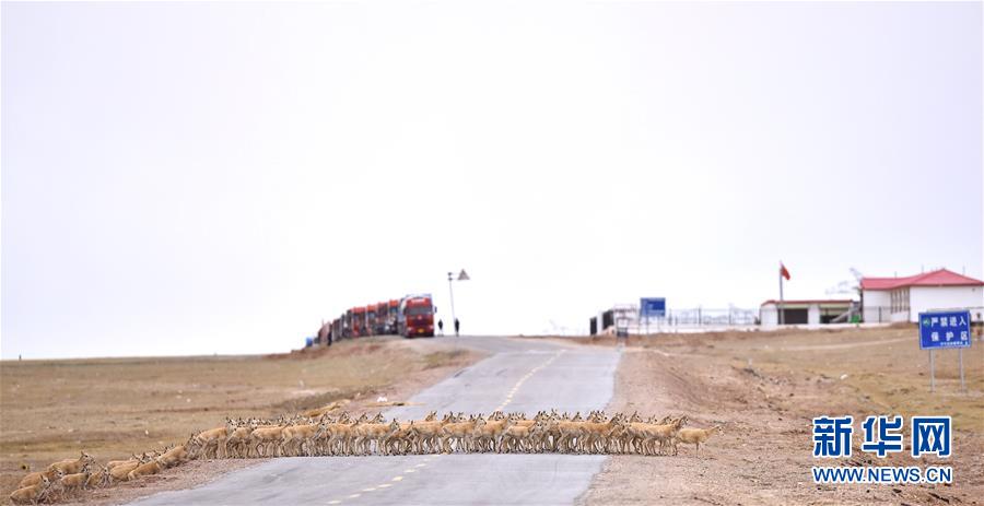 （新華全媒頭條&middot;圖文互動）（4）確保&ldquo;中華水塔&rdquo;碧水東流&mdash;&mdash;中國三江源生態(tài)保護報告