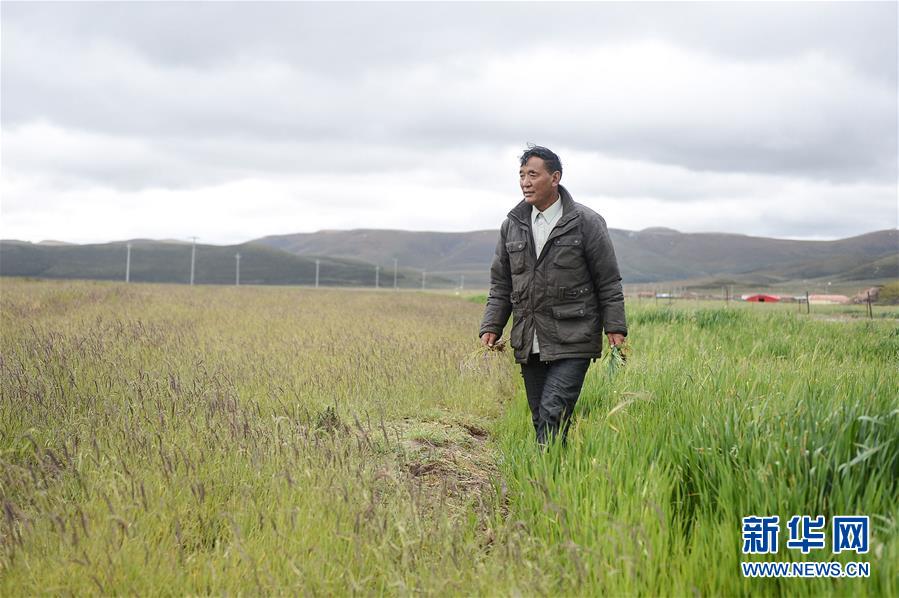 （新華全媒頭條&middot;圖文互動）（8）確保&ldquo;中華水塔&rdquo;碧水東流&mdash;&mdash;中國三江源生態(tài)保護報告