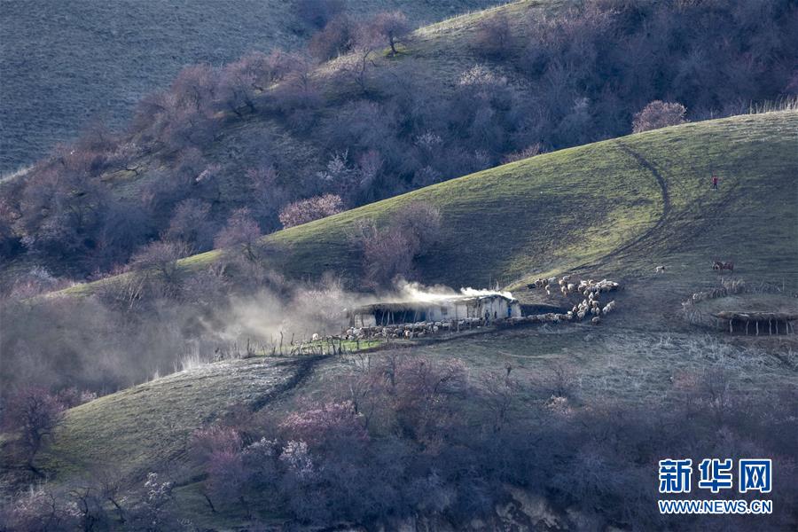（北京世園會(huì)）（17）生態(tài)中國&middot;壯美山河瞰新疆