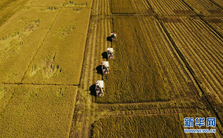 （新華全媒頭條&middot;圖文互動(dòng)）（5）紅色的傳承，藍(lán)圖的起點(diǎn)&mdash;&mdash;新中國(guó)孕育與發(fā)展的&ldquo;東北記憶&rdquo;
