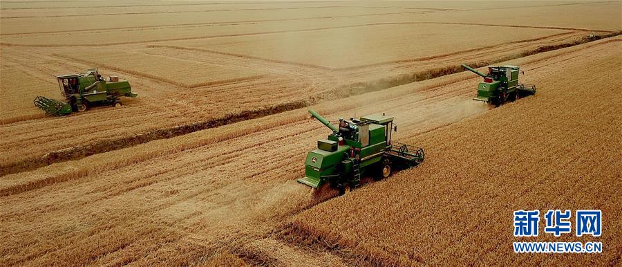 (新華全媒頭條·圖文互動(dòng))(1)大國(guó)糧倉的新時(shí)代交響——河南農(nóng)業(yè)70年觀察