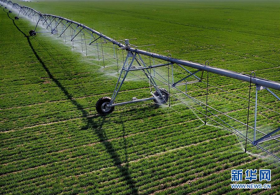 (新華全媒頭條·圖文互動(dòng))(4)大國(guó)糧倉的新時(shí)代交響——河南農(nóng)業(yè)70年觀察