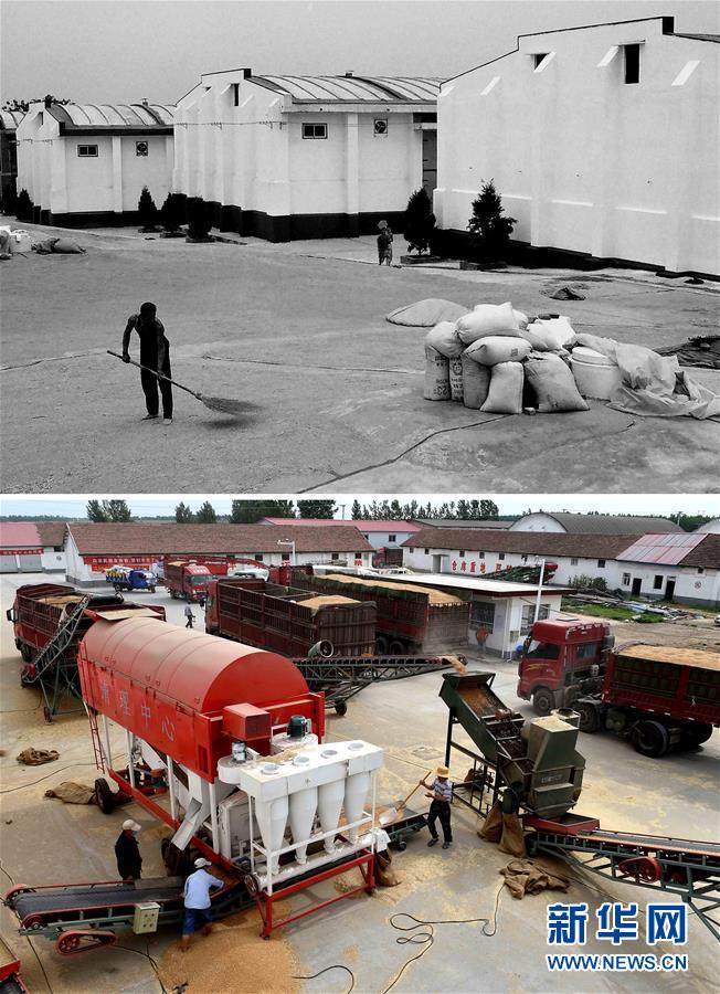 (新華全媒頭條·圖文互動(dòng))(9)大國(guó)糧倉的新時(shí)代交響——河南農(nóng)業(yè)70年觀察