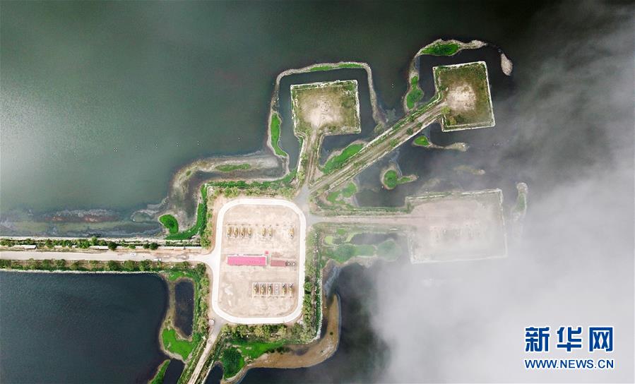 （圖文互動）（14）當(dāng)好標(biāo)桿旗幟 建設(shè)百年油田&mdash;&mdash;寫在大慶油田發(fā)現(xiàn)60周年之際