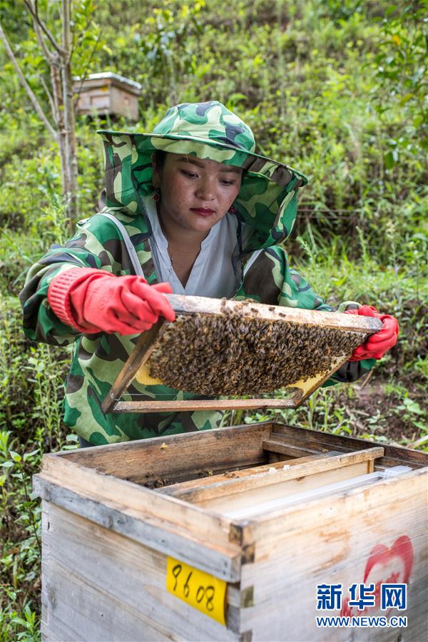 （圖文互動(dòng)）（7）太陽(yáng)照耀&ldquo;人類童年&rdquo;&mdash;&mdash;新時(shí)代直過(guò)民族脫貧攻堅(jiān)紀(jì)事