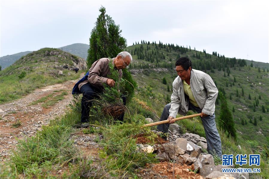 （圖文互動）（2）&ldquo;退休20年，咱就干了這么一件事&rdquo;&mdash;&mdash;記山西水利廳退休干部高文毓的&ldquo;綠山夢&rdquo;