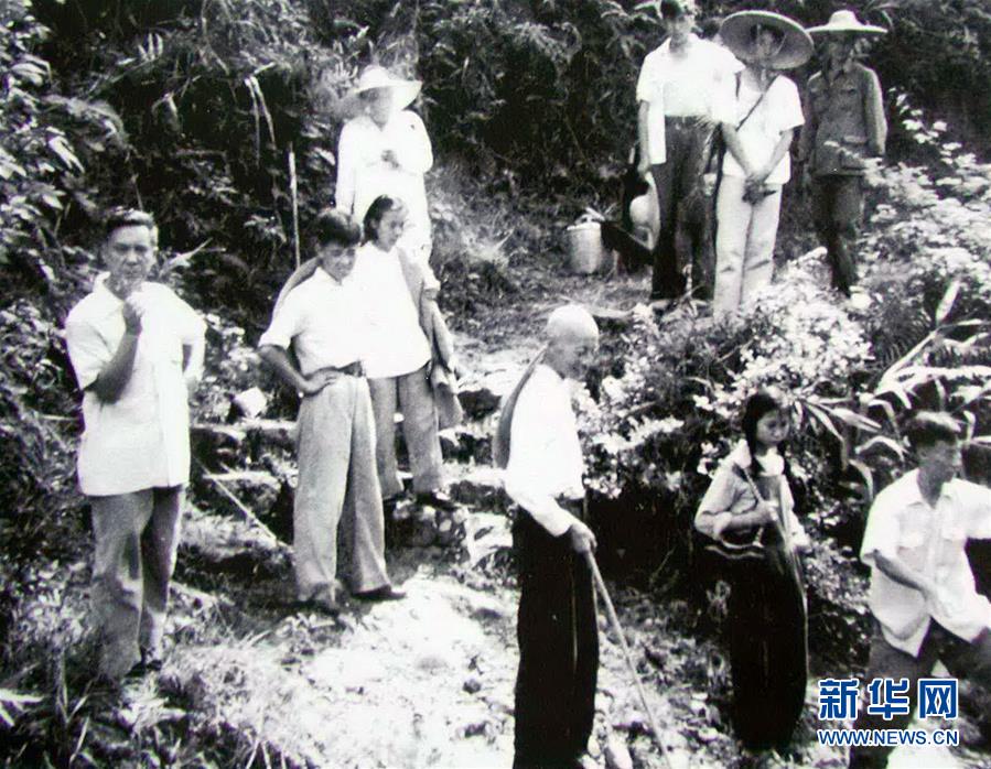 (圖文互動)(5)科學(xué)接續(xù)保護(hù) 守住生態(tài)紅線——探訪“北回歸沙漠帶上的綠色明珠”