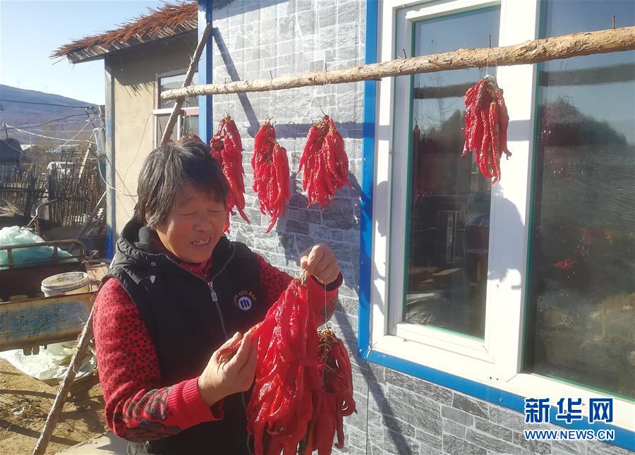 （在習(xí)近平新時(shí)代中國(guó)特色社會(huì)主義思想指引下&mdash;&mdash;新時(shí)代新作為新篇章&middot;總書記關(guān)心的百姓身邊事&middot;圖文互動(dòng)）（3）一個(gè)貧困山村的振興新動(dòng)能&mdash;&mdash;小故事里的大情懷之五