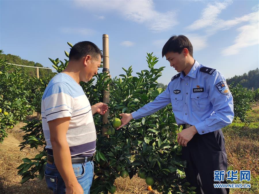 (圖文互動(dòng))(1)163份留任申請——記江西吉安163位主動(dòng)留任的第一書記