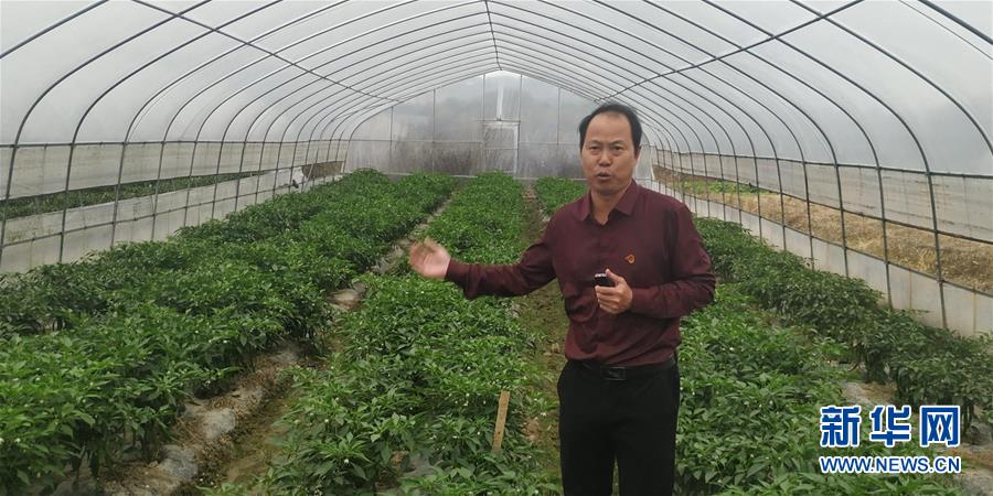 (圖文互動(dòng))(2)163份留任申請——記江西吉安163位主動(dòng)留任的第一書記