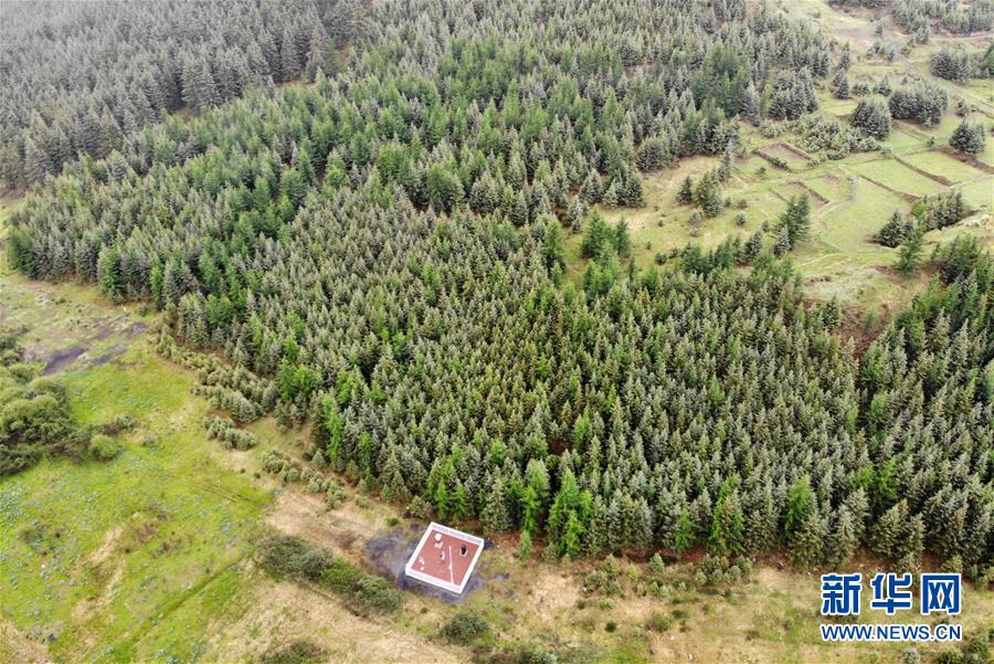 （新華全媒頭條&middot;圖文互動）（11）綠色的啟示&mdash;&mdash;西部地區(qū)生態(tài)問題典型個案再調(diào)查