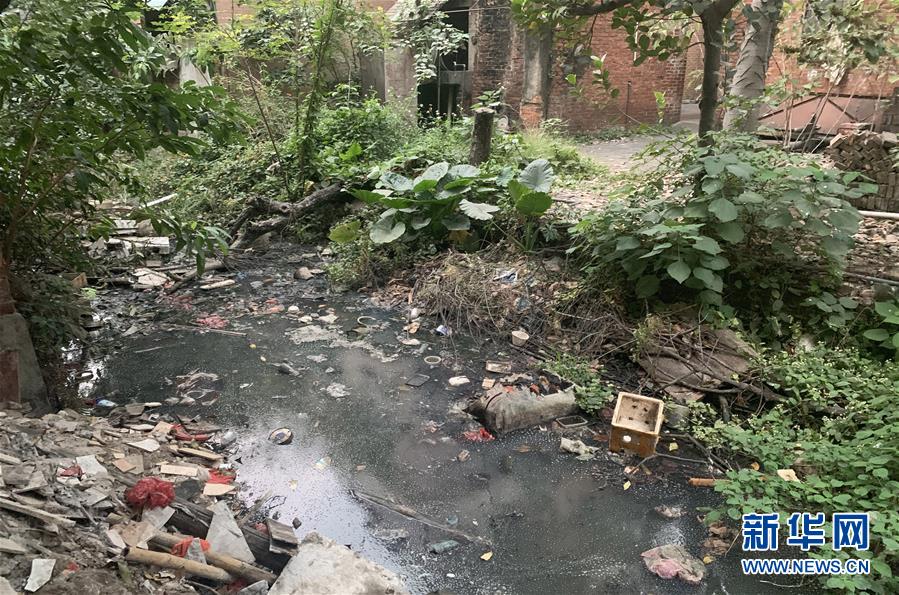 （圖文互動）（1）河長職責寫得明明白白，條條舉措無一落實&mdash;&mdash;國務院檢查組暗訪核查佛山一農(nóng)村河涌黑臭十余年無人管理