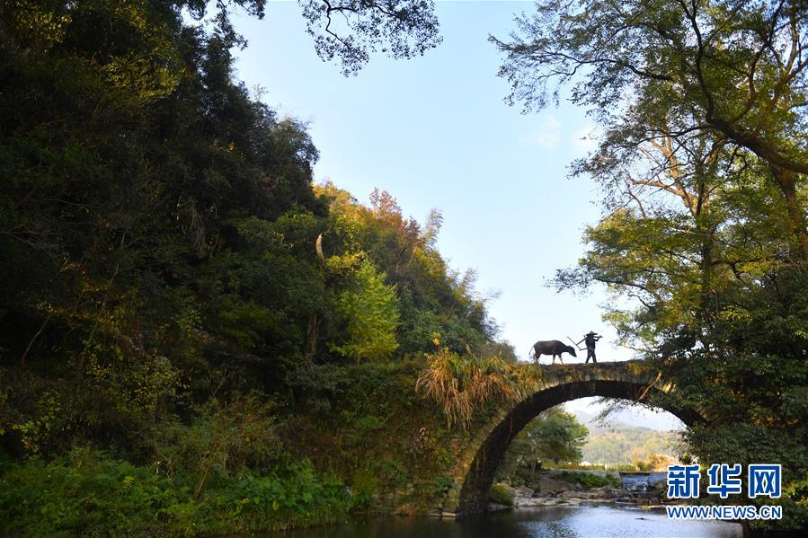 （圖文互動）（3）鄉(xiāng)村攝影師、鄉(xiāng)村&ldquo;模特&rdquo;、民宿店主&mdash;&mdash;鄉(xiāng)村旅游推動婺源農(nóng)民生活方式發(fā)生新變化