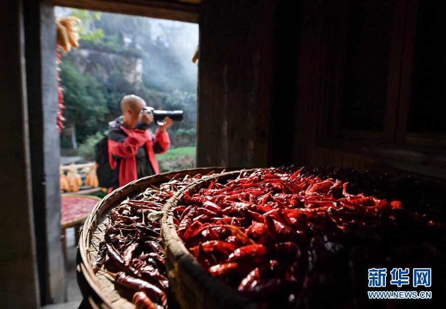 （圖文互動）（6）鄉(xiāng)村攝影師、鄉(xiāng)村&ldquo;模特&rdquo;、民宿店主&mdash;&mdash;鄉(xiāng)村旅游推動婺源農(nóng)民生活方式發(fā)生新變化