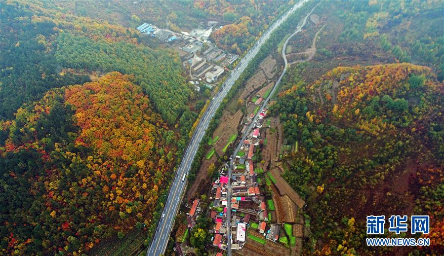 (新華全媒頭條·四中全會精神在基層·圖文互動)(6)沖破衰退循環(huán) 引領生態(tài)崛起——東北老工業(yè)基地城市本溪綠色轉型煥發(fā)朝氣