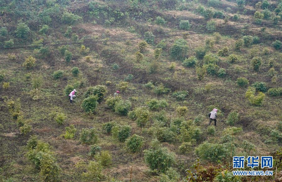 （新華全媒頭條&middot;圖文互動(dòng)）（12）烏蒙歡歌高鐵來(lái)&mdash;&mdash;寫(xiě)在成貴高鐵通車之際