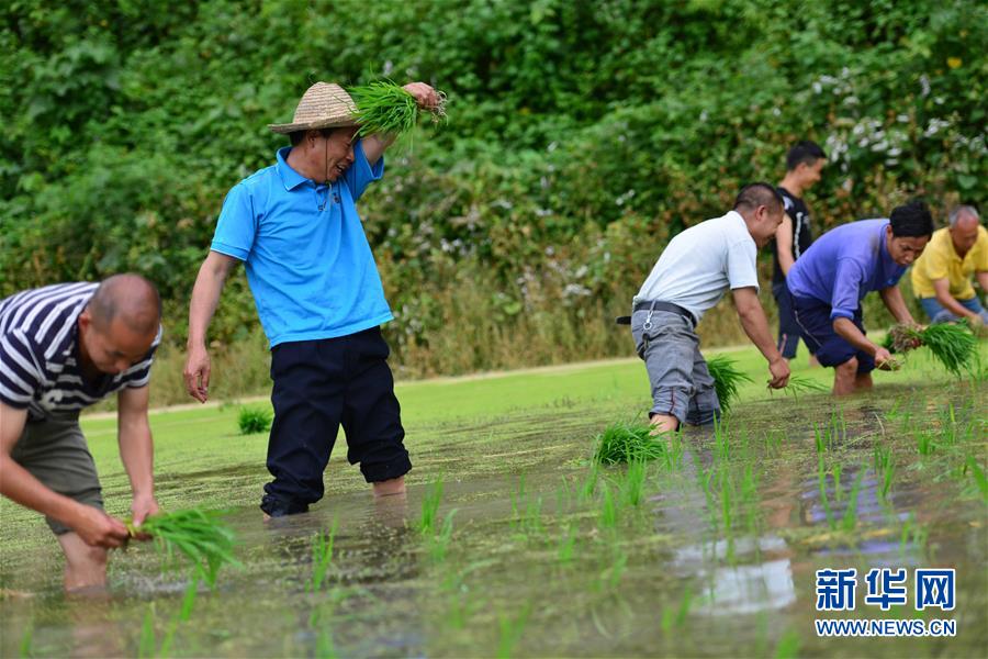 （新華全媒頭條&middot;圖文互動）（8）干部去哪兒了？&mdash;&mdash;貴州干部大規(guī)模下沉脫貧攻堅一線紀實